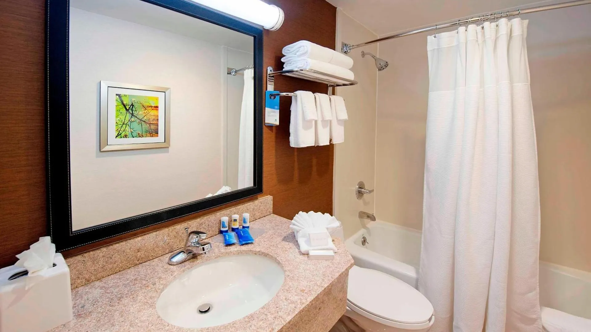 Fairfield Inn By Marriott Jfk Airport Nova Iorque 3*,  Estados Unidos da América